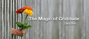 The Magic of Gratitude
